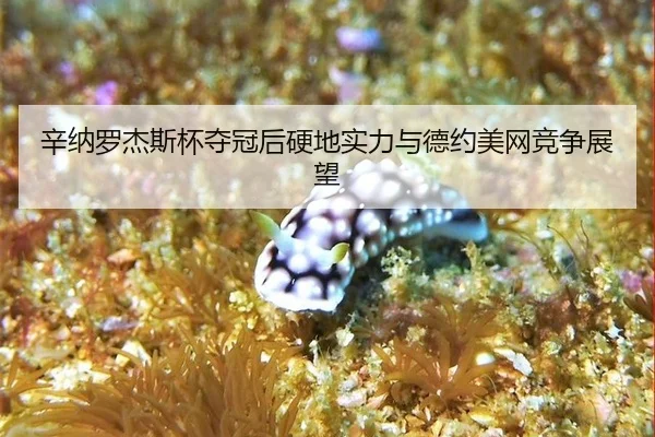 xin-na-luo-jie-si-bei-duo-guan-hou-ying-di-shi-li-yu-de-yue-mei-wang-jing-zheng-zhan-wang-2-833.jpg