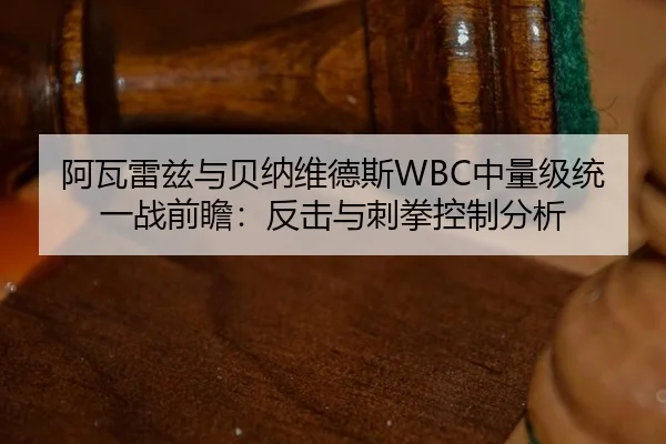 a-wa-lei-zi-yu-bei-na-wei-de-si-zhong-liang-ji-tong-yi-zhan-qian-zhan-fan-ji-yu-ci-quan-kong-zhi-fen-xi-3-327.jpg